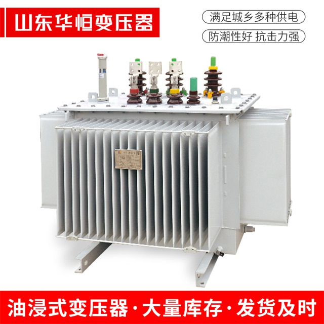 S13-10000/35佳县佳县佳县电力变压器